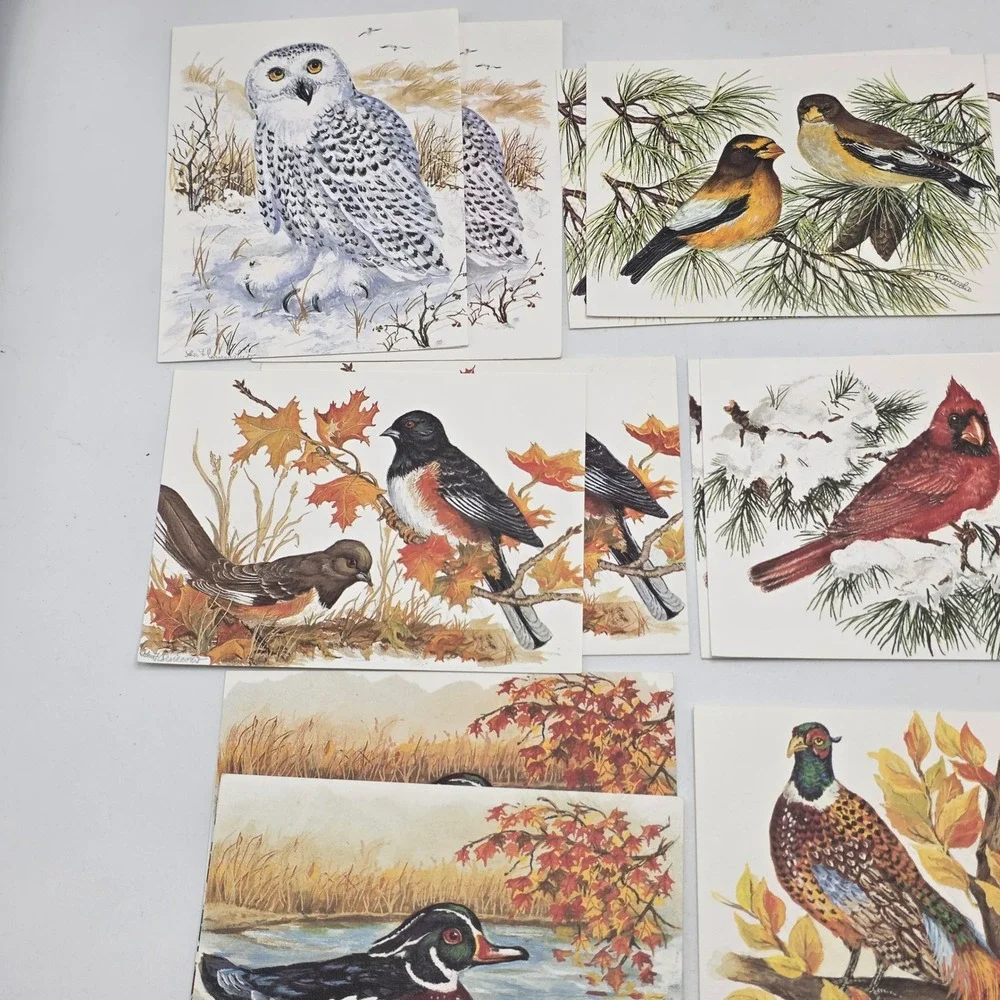 John Cornacchio Bird Note Cards 16ct Multicolor Wildlife Art Stationery Set USA